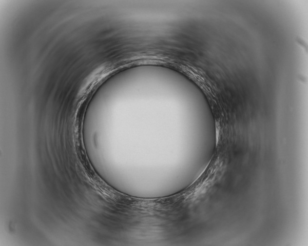 X0000091530339200708170954