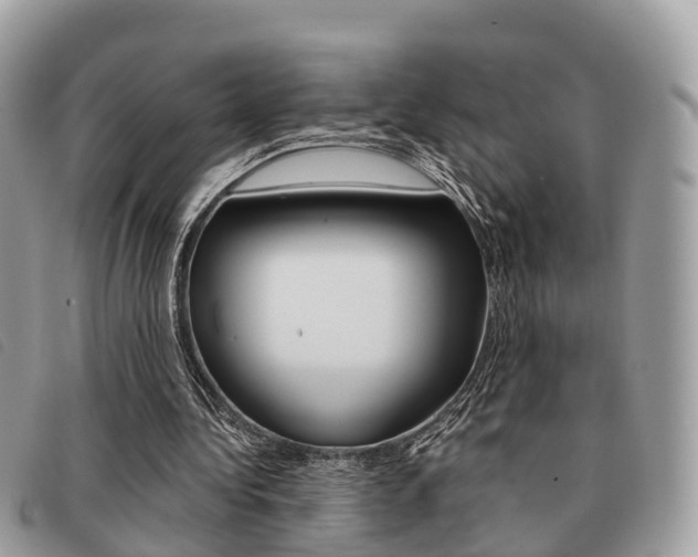 X0000091530340200708170954