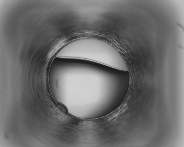 X0000091530341200708170954