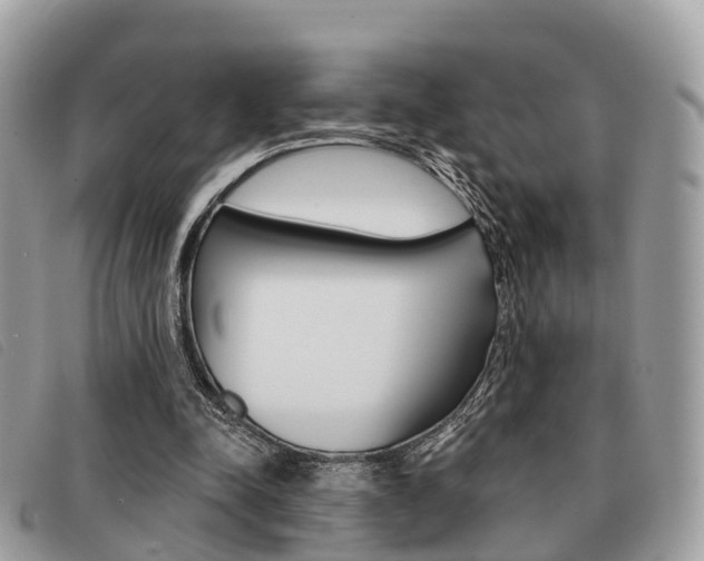X0000091530342200708170954