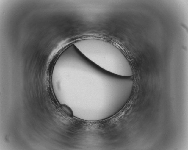 X0000091530343200708170954