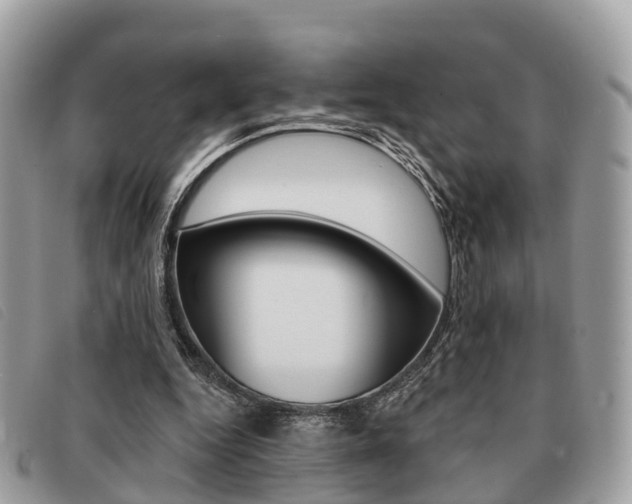 X0000091530344200708170954