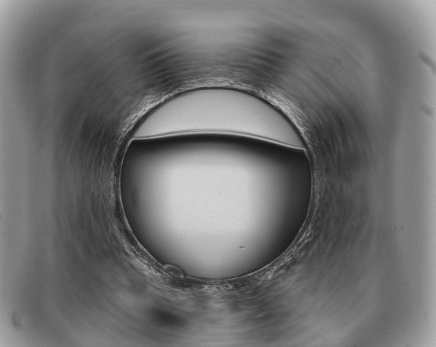 X0000091530345200708170954