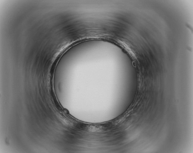 X0000091530346200708170954