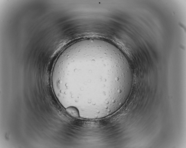 X0000091530347200708170954