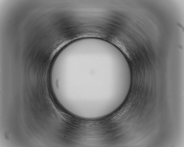 X0000091530348200708170954