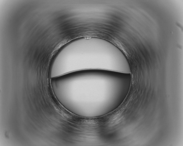 X0000091530349200708170954