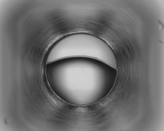 X0000091530350200708170954