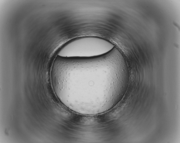 X0000091530351200708170954