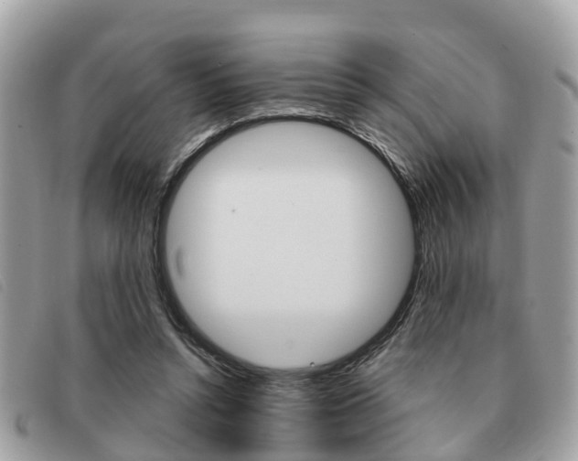 X0000091530352200708170954