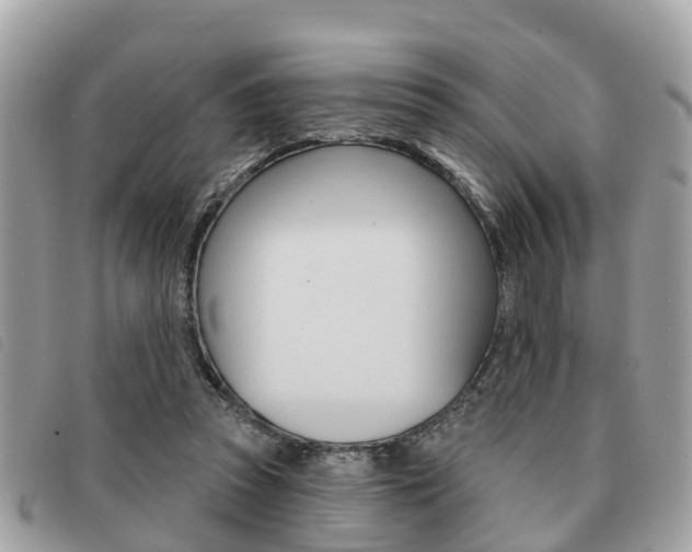 X0000091530353200708170954