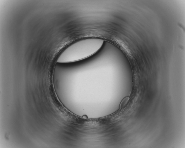 X0000091530354200708170954