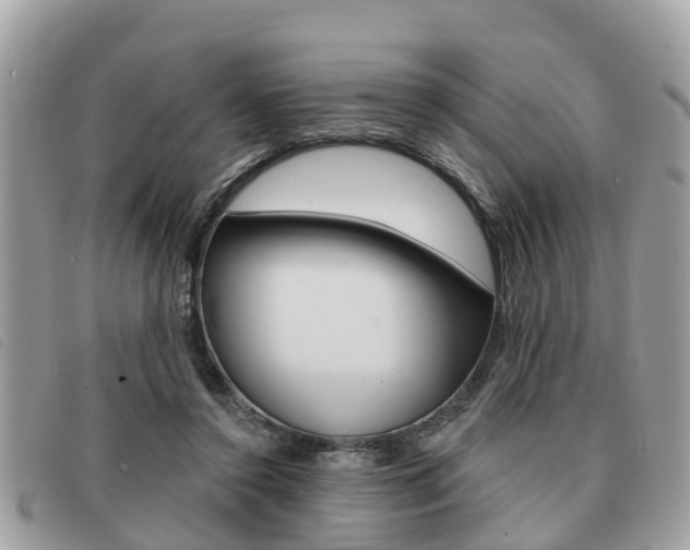 X0000091530356200708170954