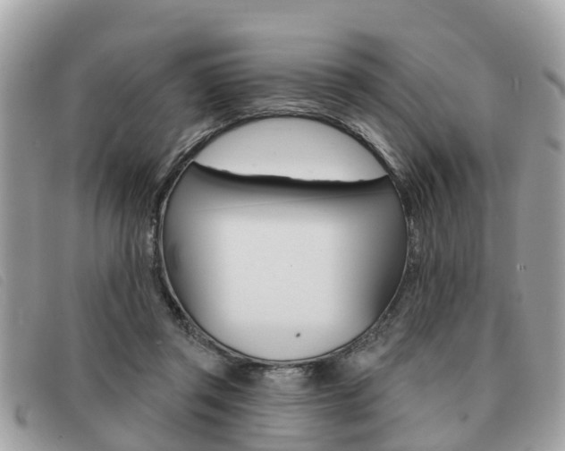 X0000091530357200708170954