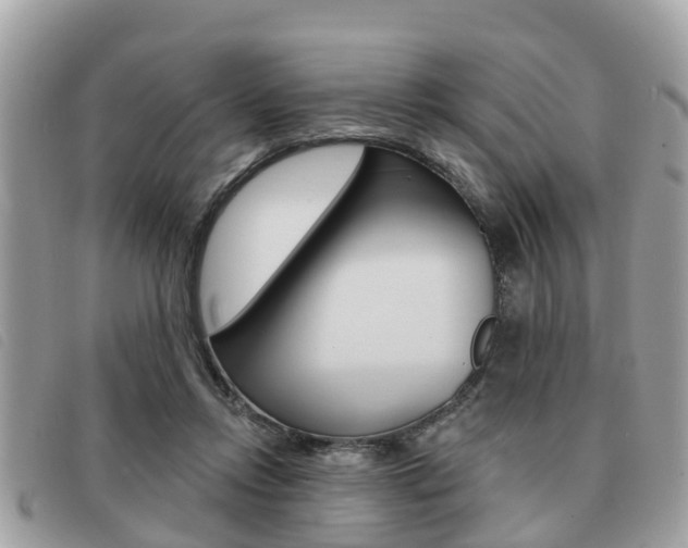 X0000091530358200708170954