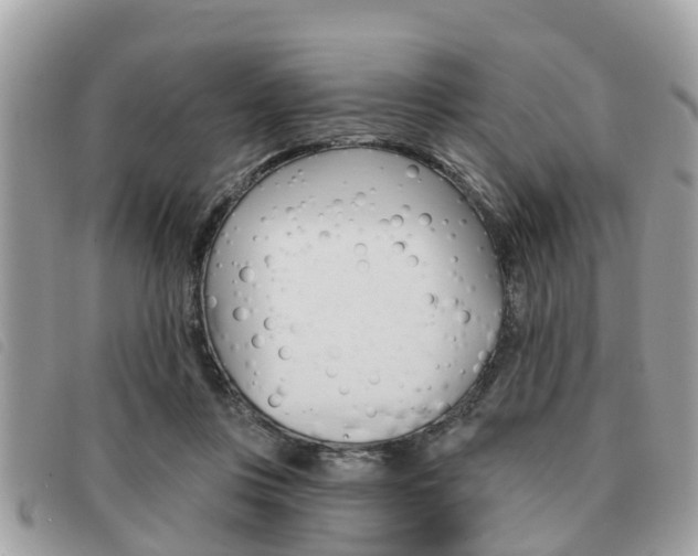 X0000091530359200708170954