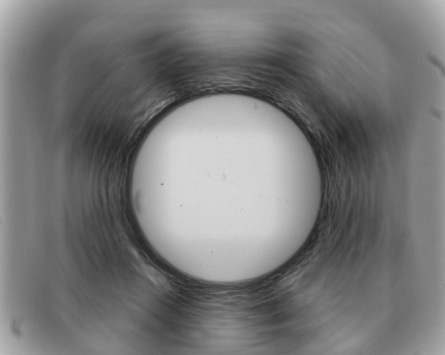 X0000091530360200708170954