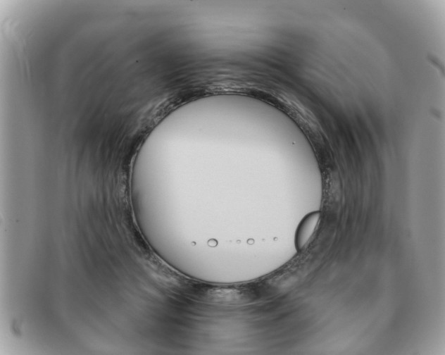 X0000091530361200708170954