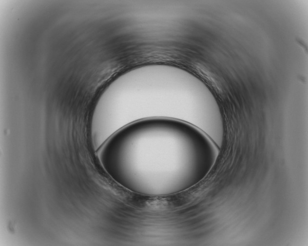 X0000091530362200708170954
