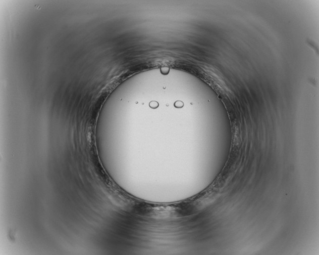 X0000091530363200708170954
