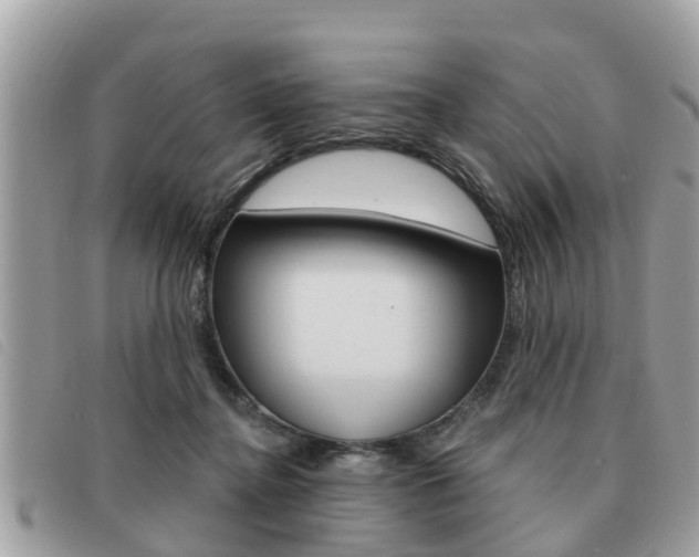 X0000091530364200708170954