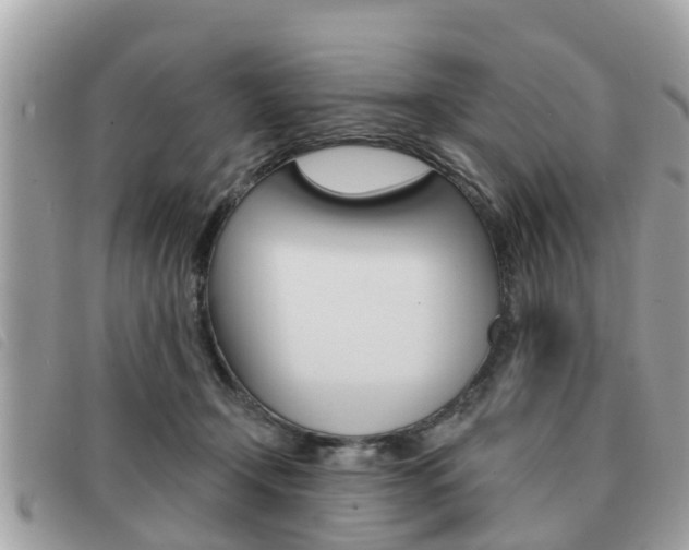 X0000091530366200708170954
