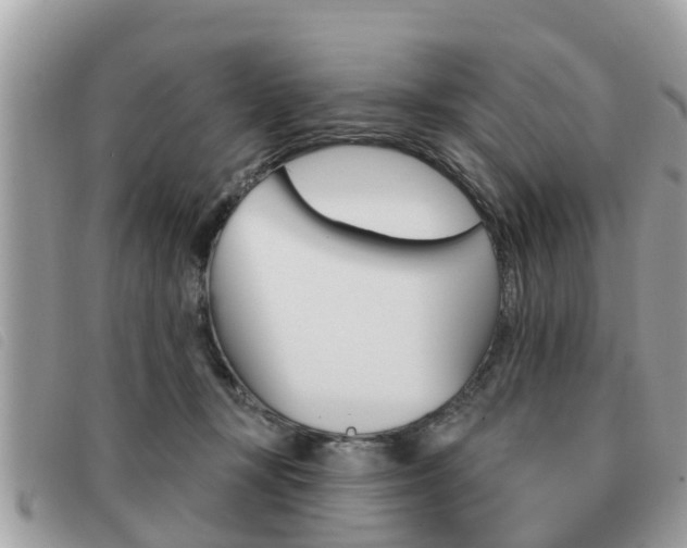 X0000091530367200708170954