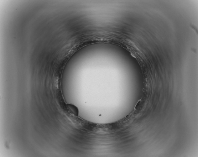 X0000091530368200708170954