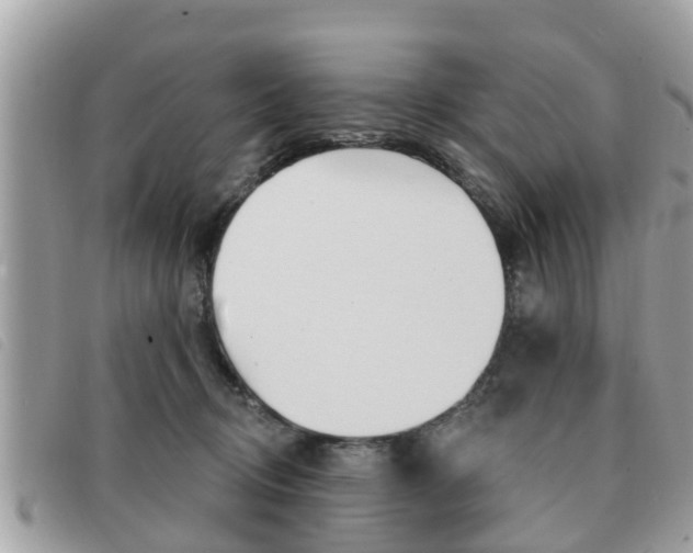 X0000091530370200708170954