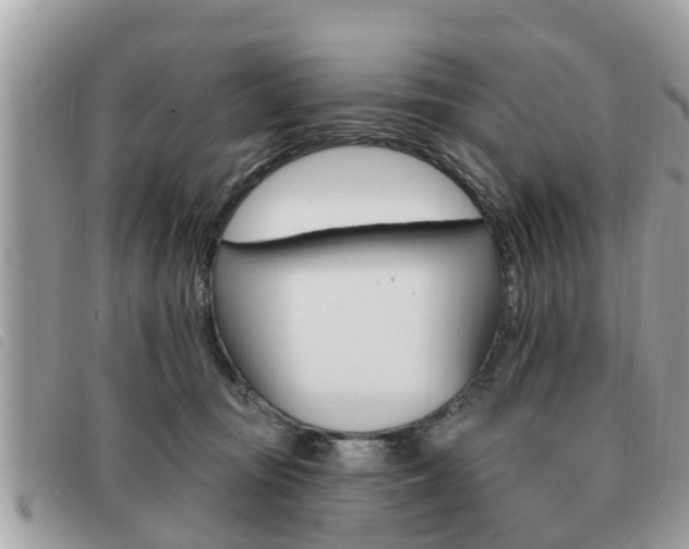 X0000091530371200708170954