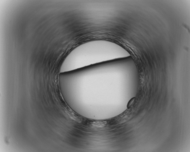 X0000091530373200708170954