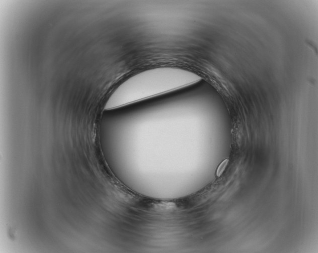 X0000091530374200708170954