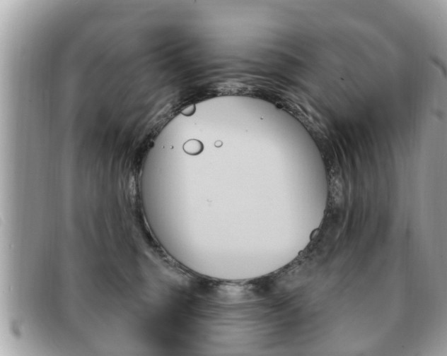X0000091530375200708170954