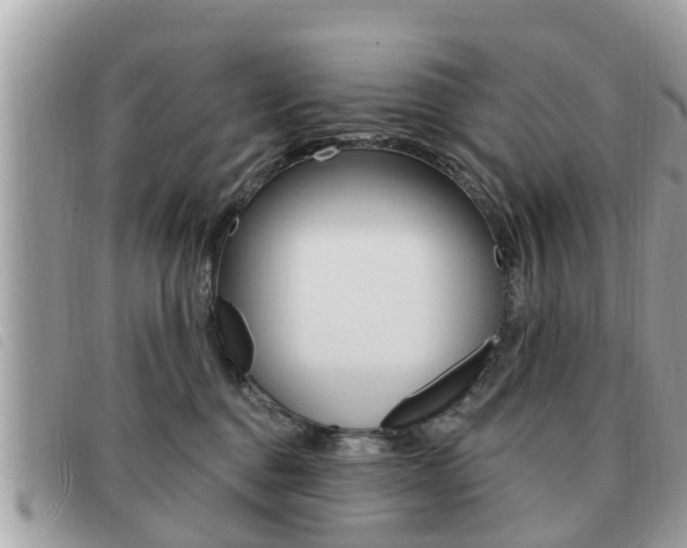 X0000091530376200708170954