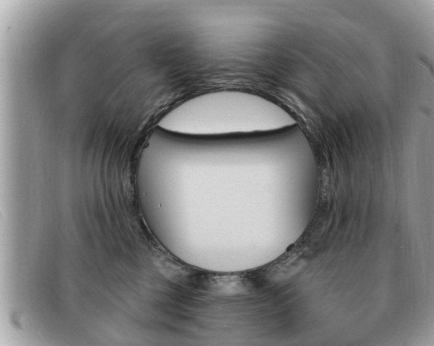 X0000091530377200708170954