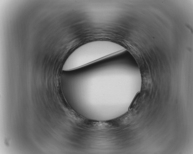 X0000091530379200708170954