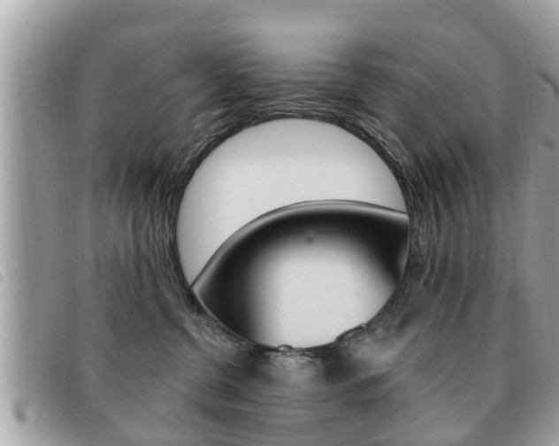 X0000091530380200708170954