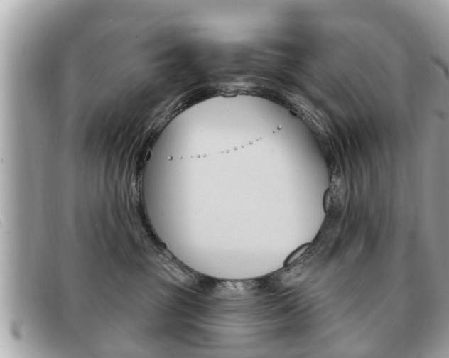 X0000091530381200708170954