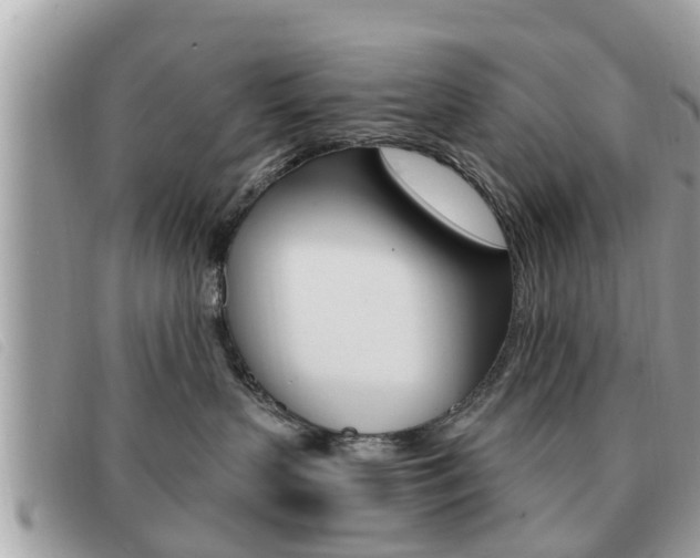 X0000091530383200708170954