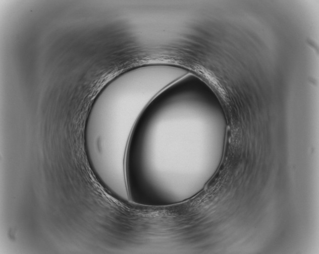 X0000091530385200708170954