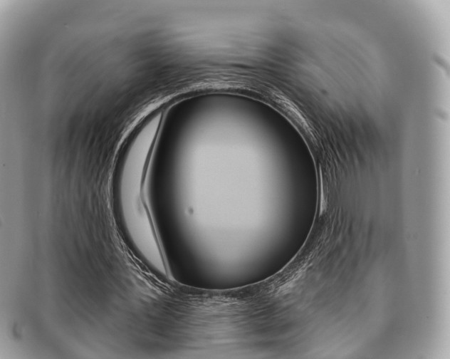 X0000091530387200708170954