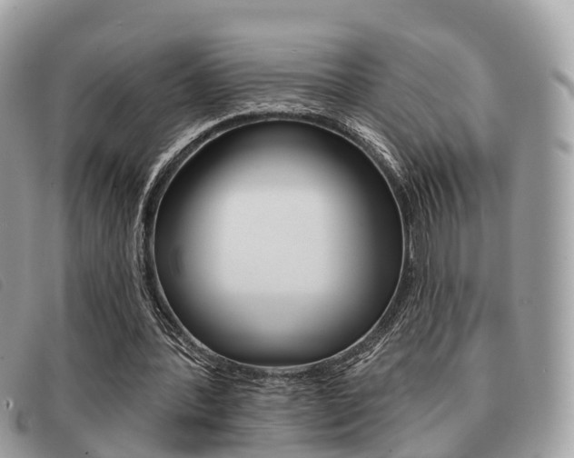 X0000091530388200708170954