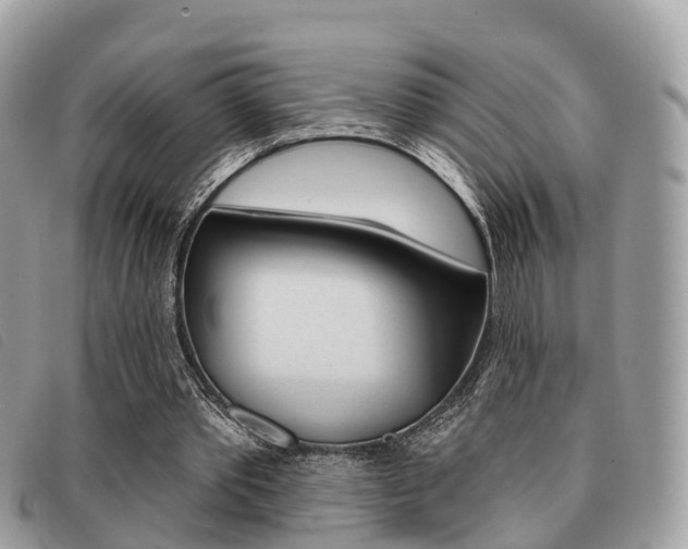 X0000091530389200708170954