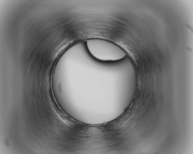 X0000091530390200708170954