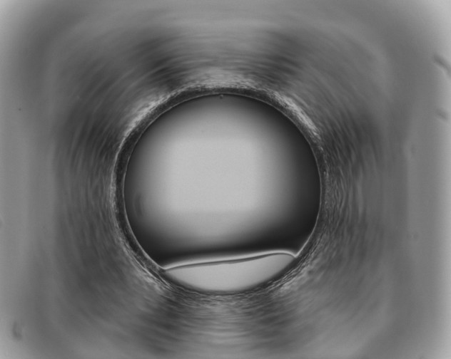 X0000091530391200708170954