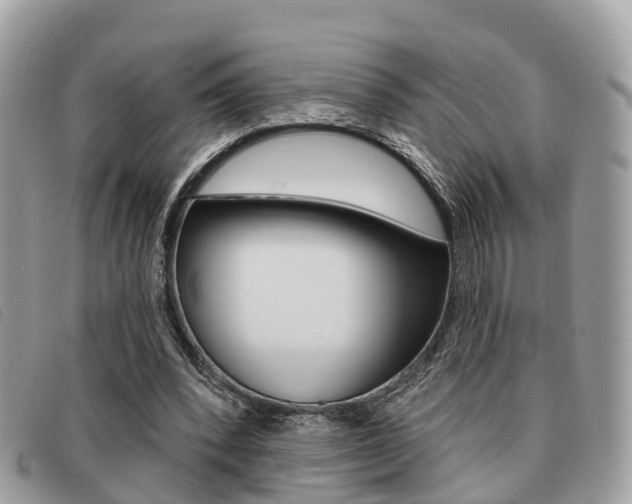 X0000091530392200708170954