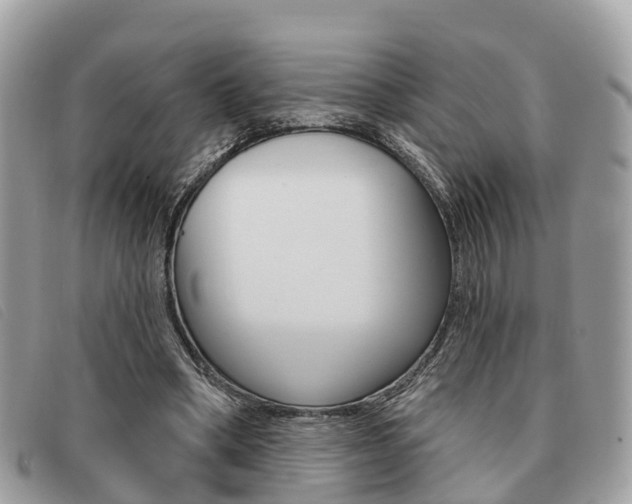 X0000091530394200708170954