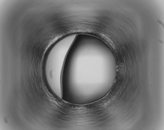 X0000091530395200708170954