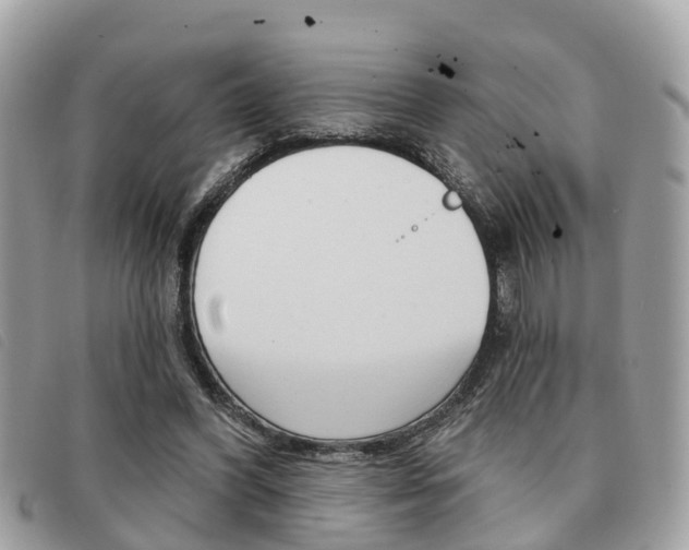 X0000091530396200708170954