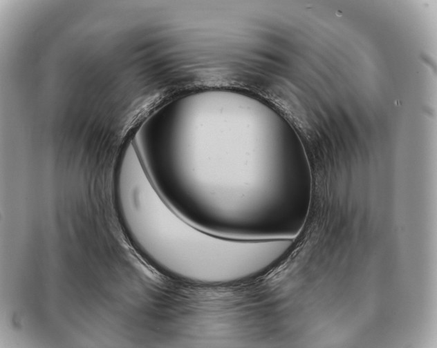 X0000091530397200708170954
